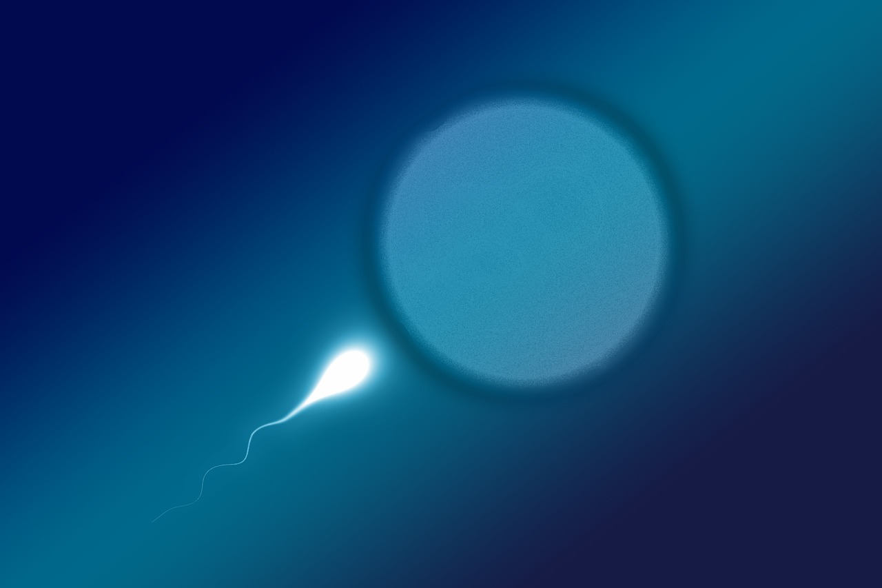 Spermas fertilitātes tests